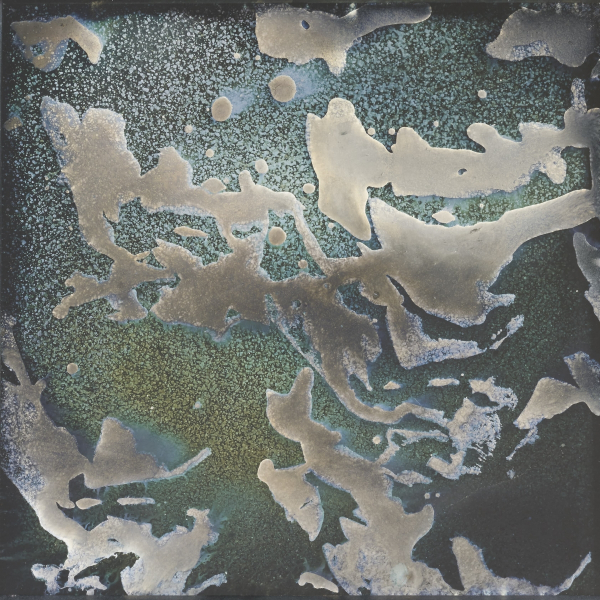 GLVB01