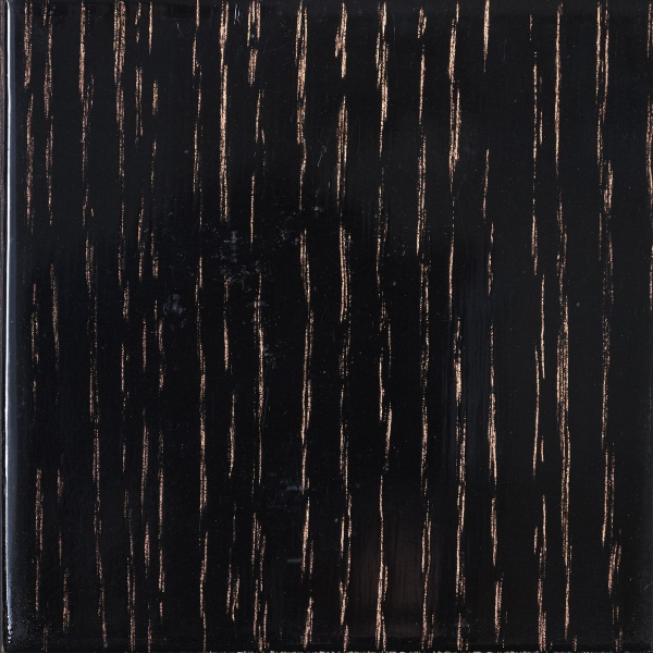 WDNR05