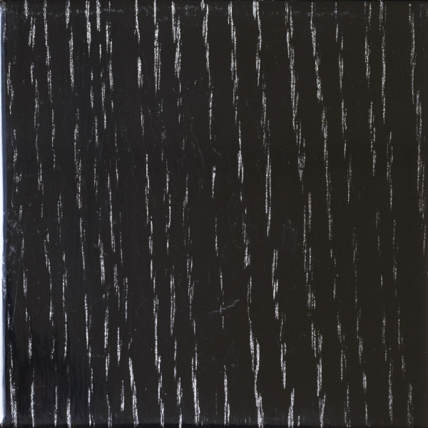 WDNR06